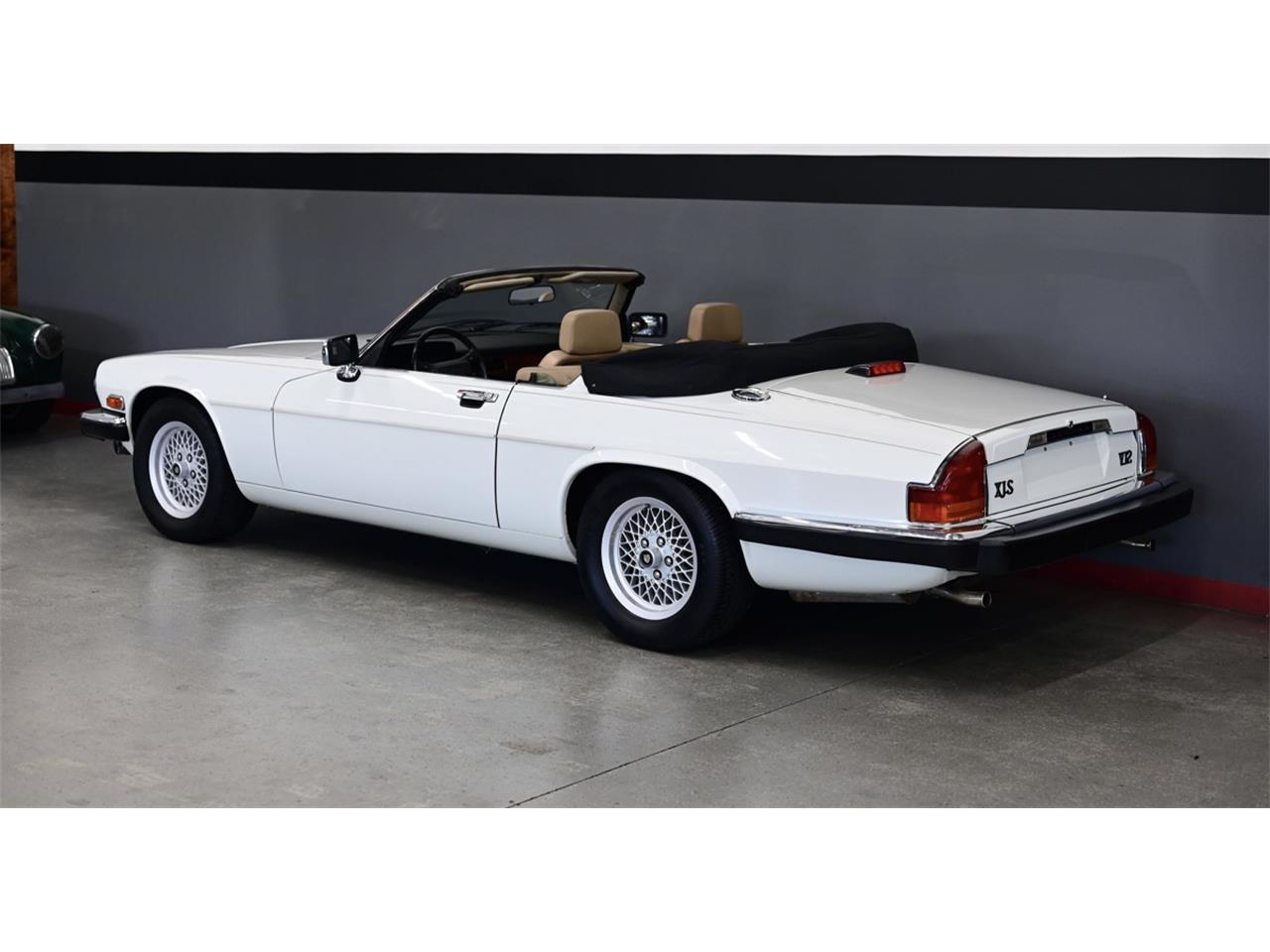 Jaguar-Xjs-1990-White-Beige-13