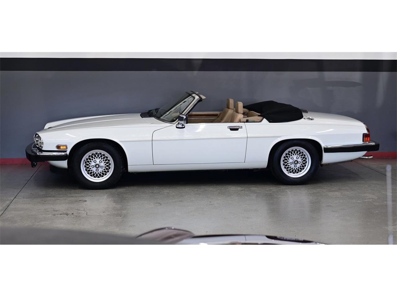 Jaguar-Xjs-1990-White-Beige-14