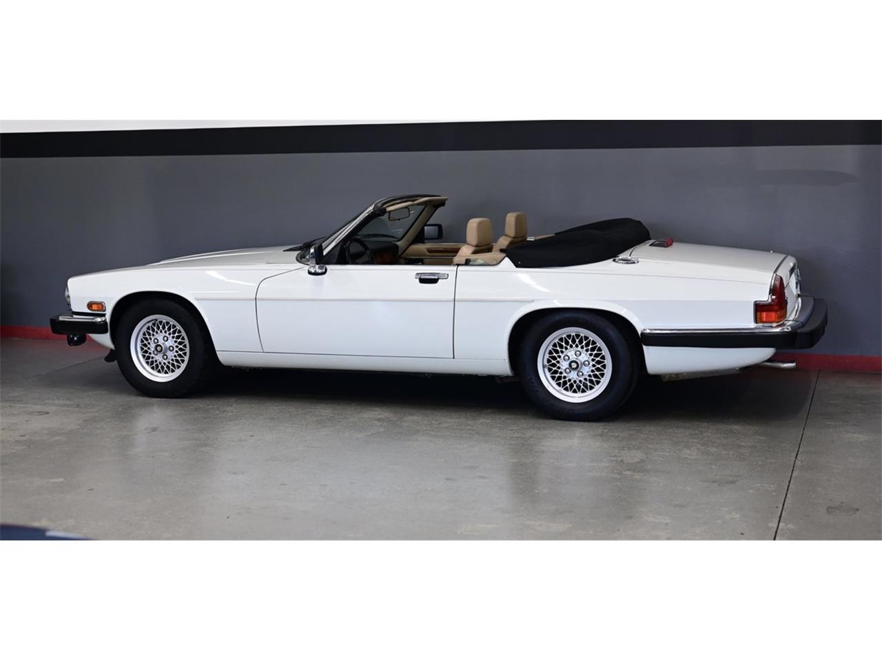 Jaguar-Xjs-1990-White-Beige-15