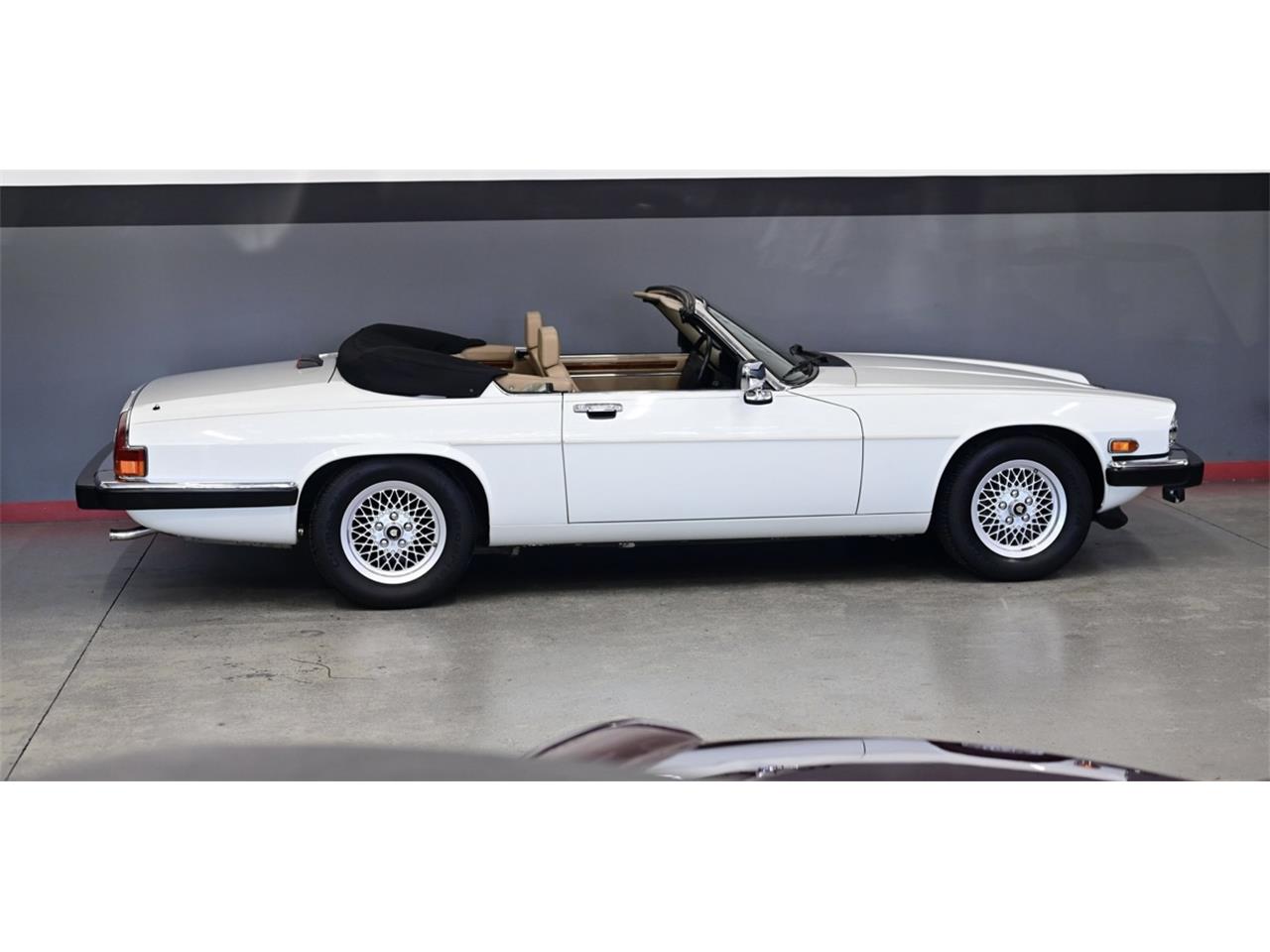 Jaguar-Xjs-1990-White-Beige-27