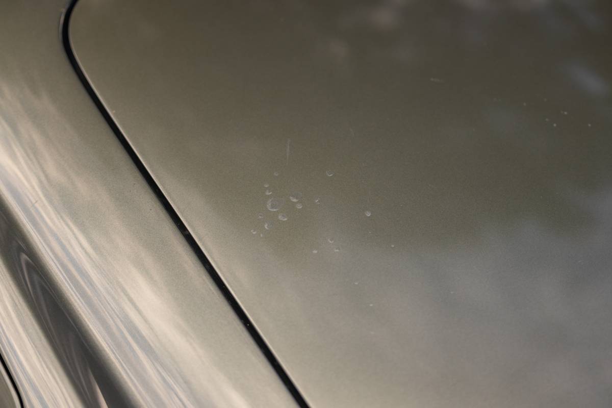 Jaguar-s-type-1965-green-15