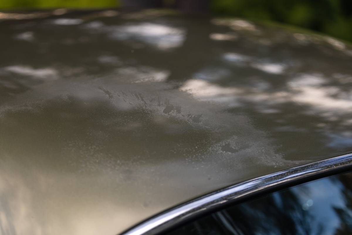 Jaguar-s-type-1965-green-16