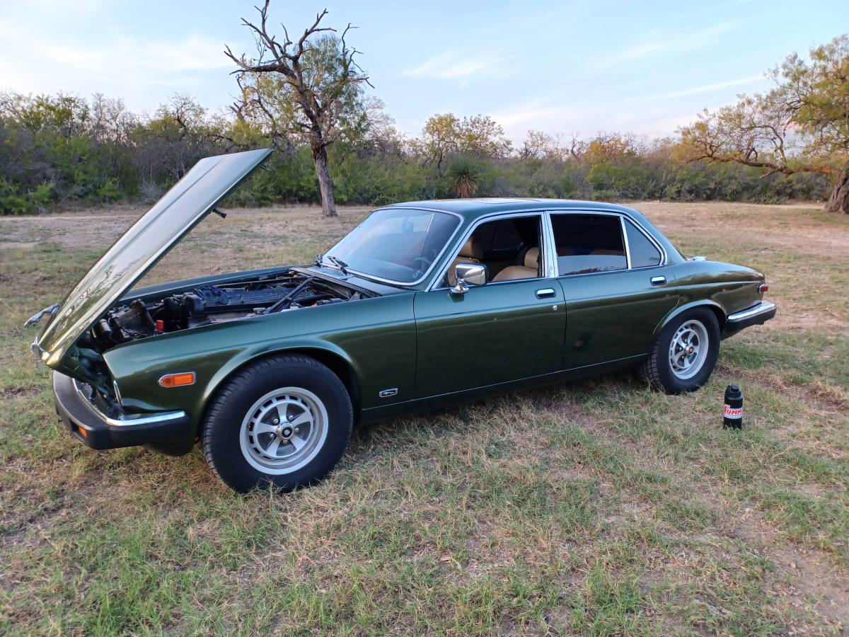 Jaguar-xj6-1982-6