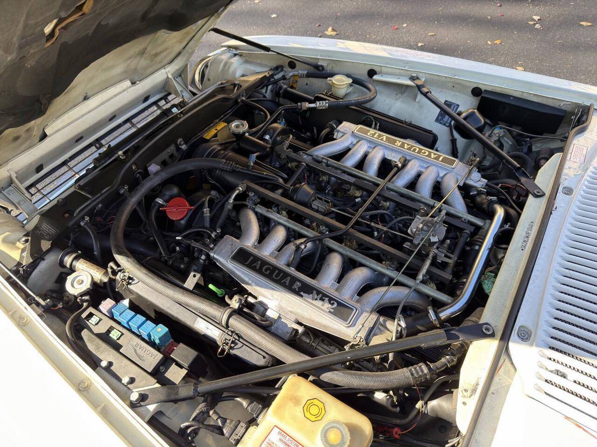 Jaguar-xjs-coupe-1992-white-22