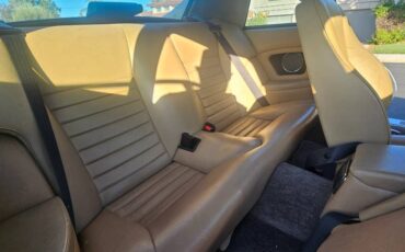 Jaguar-xjs-xj-sc-1989-custom-14