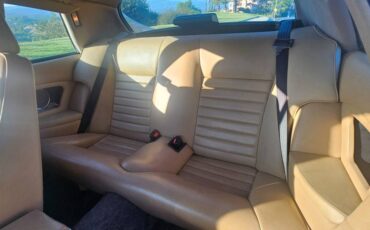 Jaguar-xjs-xj-sc-1989-custom-2