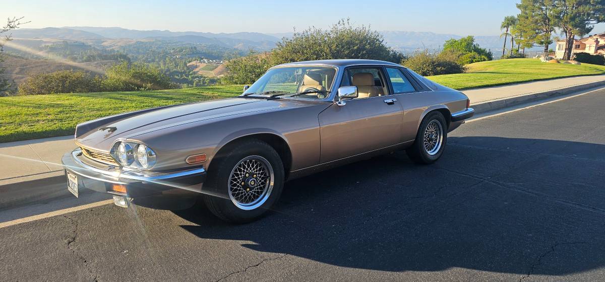Jaguar-xjs-xj-sc-1989-custom-3