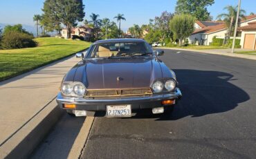 Jaguar-xjs-xj-sc-1989-custom
