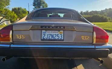 Jaguar-xjs-xj-sc-1989-custom-6