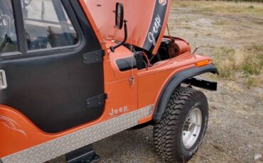 Jeep-1976-orange-9