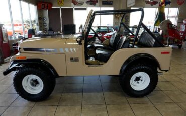 Jeep-CJ-1974-Classic-Car-34