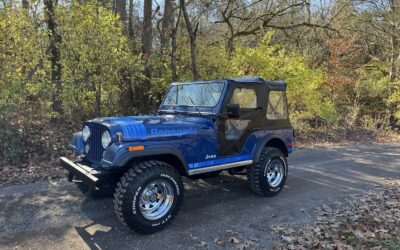 Jeep CJ 1979 SUV