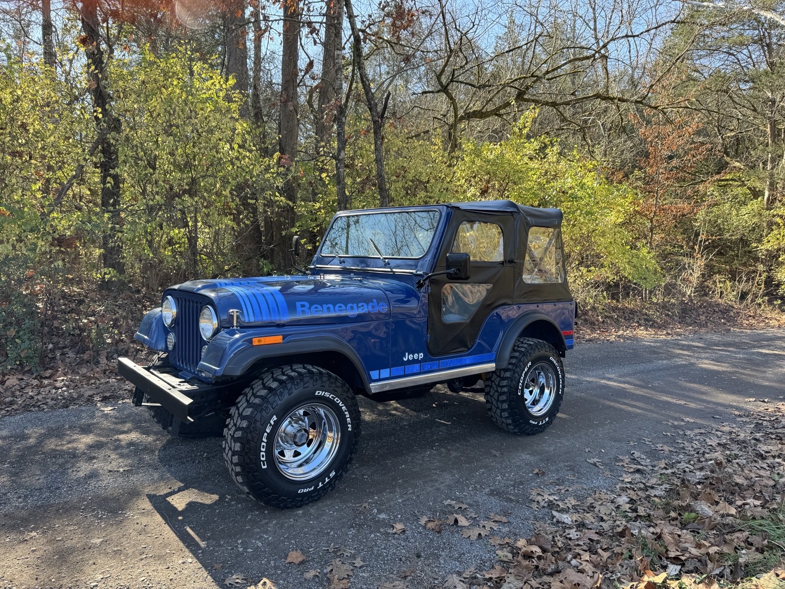 Jeep CJ 1979 SUV