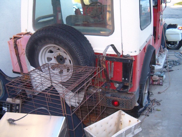 Jeep-CJ-5-1969-Utility-9