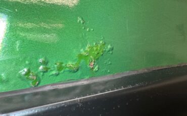 Jeep-Cj5-1978-Green-Metallic-Tan-2