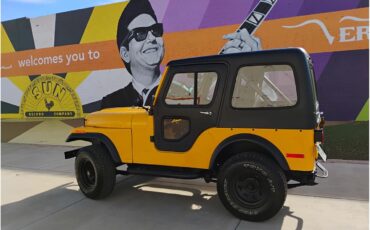 Jeep-Cj5-1978-Yellow-Black-8