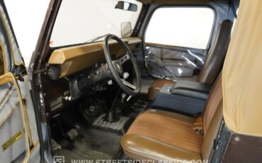 Jeep-Cj7-1979-Brown-Metallic-Brown-14