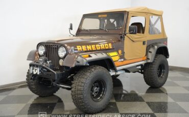 Jeep-Cj7-1979-Brown-Metallic-Brown-17