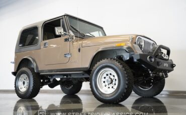 Jeep-Cj7-1982-Brown-Brown-24