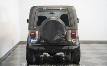 Jeep-Cj7-1982-Brown-Brown-29