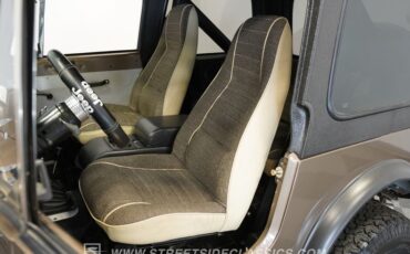 Jeep-Cj7-1982-Brown-Brown-39