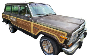 Jeep-Grand-Wagoneer-1987-SUV-2