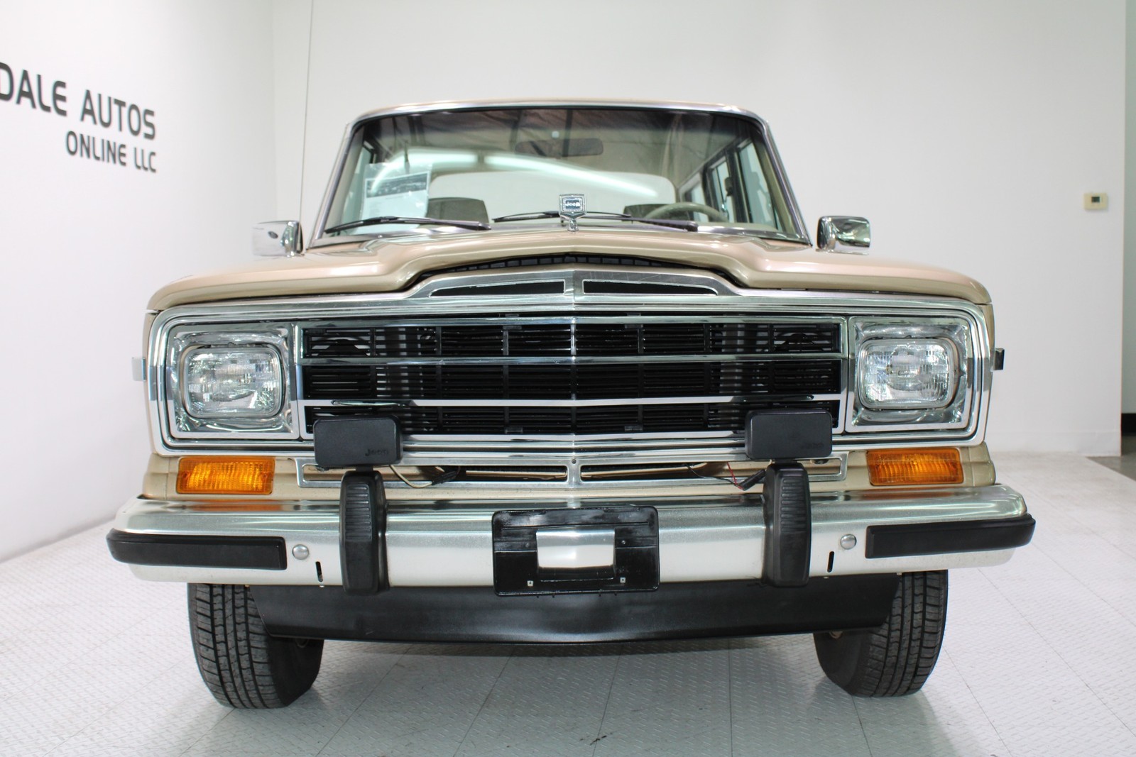 Jeep-Grand-Wagoneer-1989-SUV-10