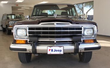 Jeep-Grand-Wagoneer-1989-SUV-10