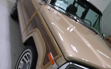 Jeep-Grand-Wagoneer-1989-SUV-11