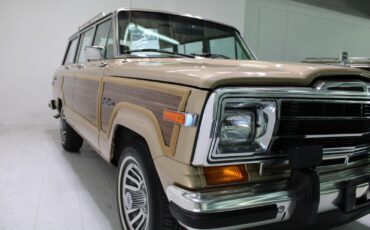 Jeep-Grand-Wagoneer-1989-SUV-13