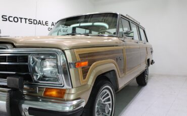 Jeep-Grand-Wagoneer-1989-SUV-14