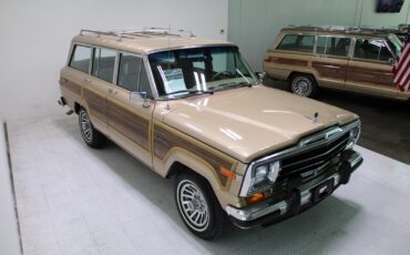 Jeep-Grand-Wagoneer-1989-SUV-17