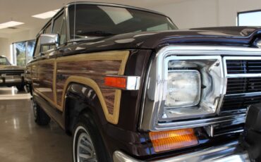 Jeep-Grand-Wagoneer-1989-SUV-17