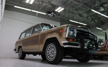 Jeep-Grand-Wagoneer-1989-SUV-18