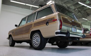 Jeep-Grand-Wagoneer-1989-SUV-20