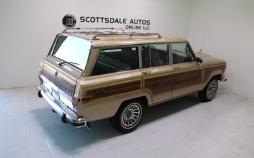 Jeep-Grand-Wagoneer-1989-SUV-21