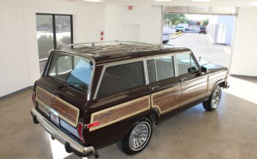 Jeep-Grand-Wagoneer-1989-SUV-23