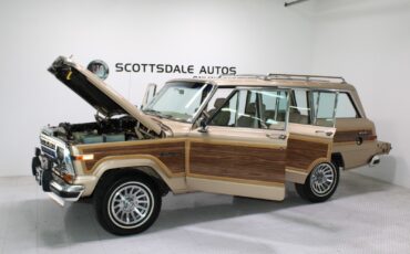 Jeep-Grand-Wagoneer-1989-SUV-25