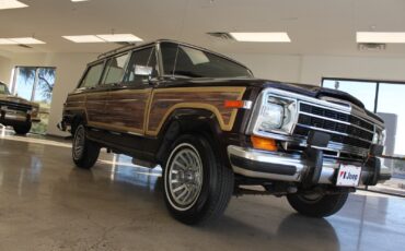 Jeep-Grand-Wagoneer-1989-SUV-26