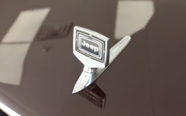 Jeep-Grand-Wagoneer-1989-SUV-30