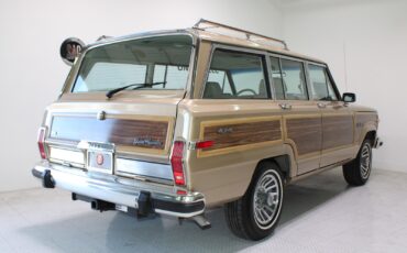 Jeep-Grand-Wagoneer-1989-SUV-4