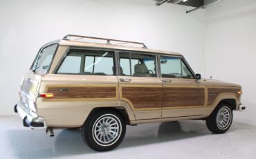 Jeep-Grand-Wagoneer-1989-SUV-8