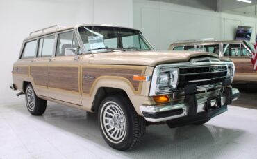 Jeep-Grand-Wagoneer-1989-SUV-9