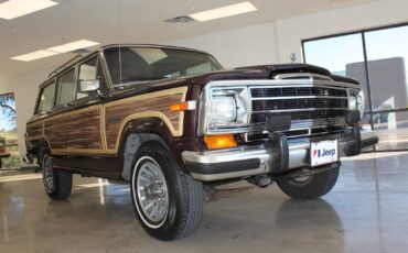 Jeep-Grand-Wagoneer-1989-SUV-9