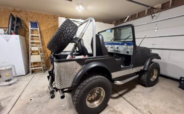 Jeep-Other-1974-SUV-10