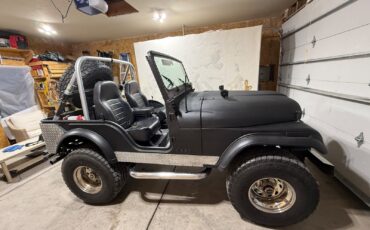 Jeep-Other-1974-SUV-11