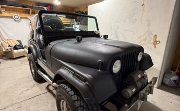 Jeep-Other-1974-SUV-12