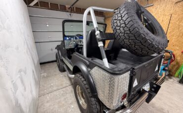 Jeep-Other-1974-SUV-15