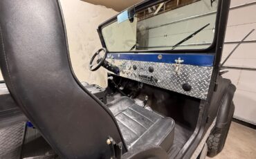 Jeep-Other-1974-SUV-18