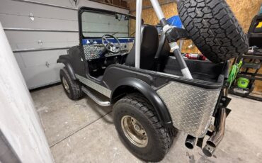 Jeep-Other-1974-SUV-19